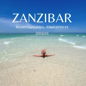 ebook Zanzibar